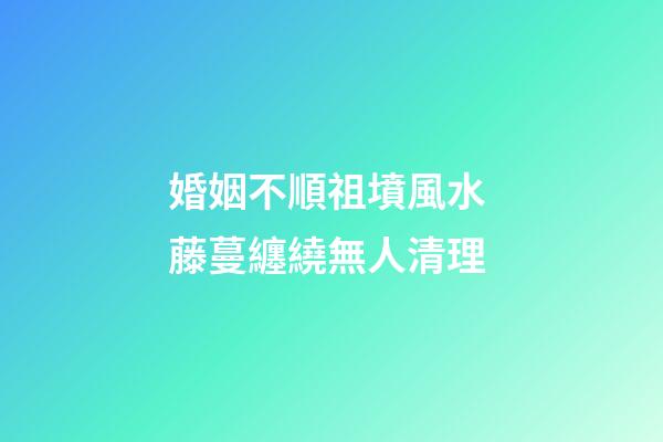 婚姻不順祖墳風水 藤蔓纏繞無人清理